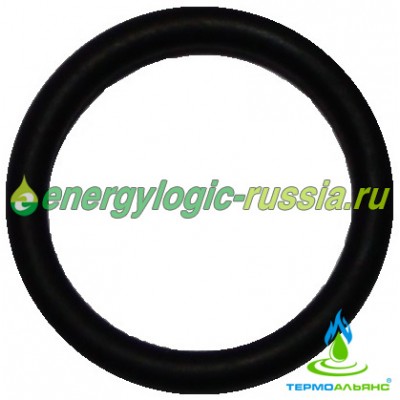 Уплотнительное кольцо электромагнитного клапана EnergyLogic